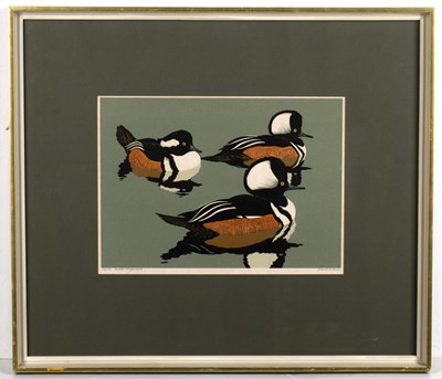 Lot 139 - Robert Gillmor (b.1936) 'Hooded Mergansers'...