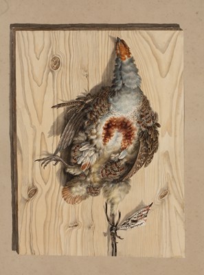 Lot 77 - Sarah Stone (c.1760-1844) Trompe I'oeil - a...