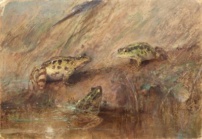 Lot 526 - Benjamin J.M. Donne (1831-1928) 'A Frog he...