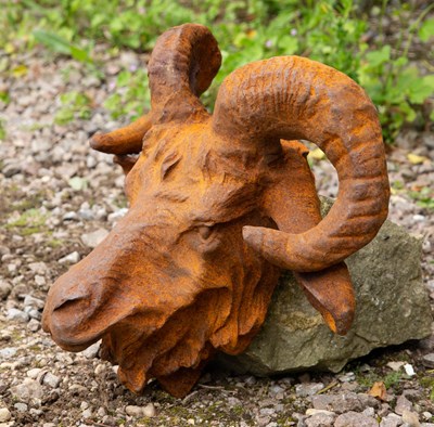 Lot 813 - A horned cast iron goats head for wall...