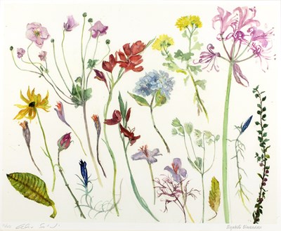 Lot 215 - Elizabeth Blackadder (1931-2021) 'Flowers from...