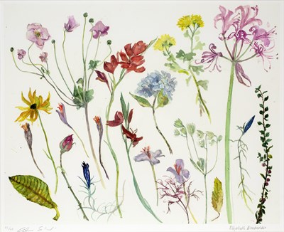 Lot 64 - Elizabeth Blackadder (1931-2021) Flowers from...