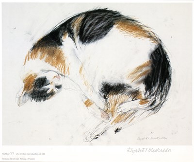 Lot 115 - Elizabeth Blackadder (1931-2021)...