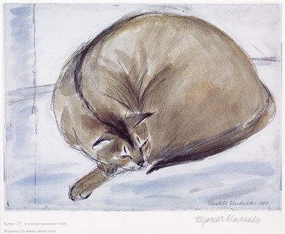 Lot 116 - Elizabeth Blackadder (1931-2021) Abyssinian...