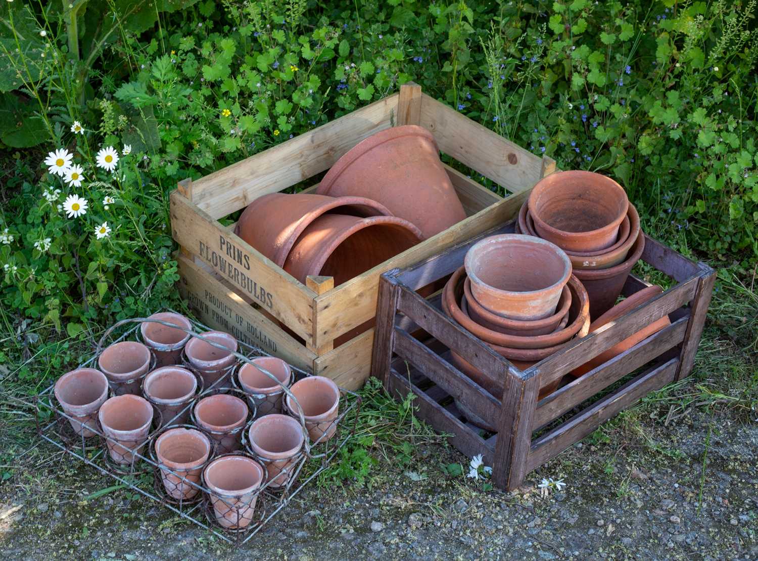 Lot 705 - Three large flower pot, 32cm diameter together...