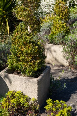 Lot 739 - A pair of square concrete planters 41cm wide x...