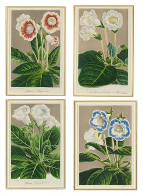 Lot 113 - A set of four decorative framed floral prints...