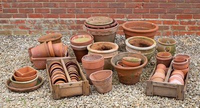 Lot 843 - A collection of various terracotta plant pots...