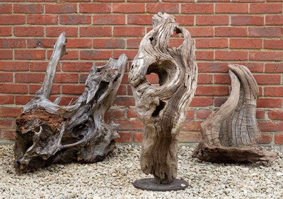 Lot 857 - A group of three sculptural weathered tree...