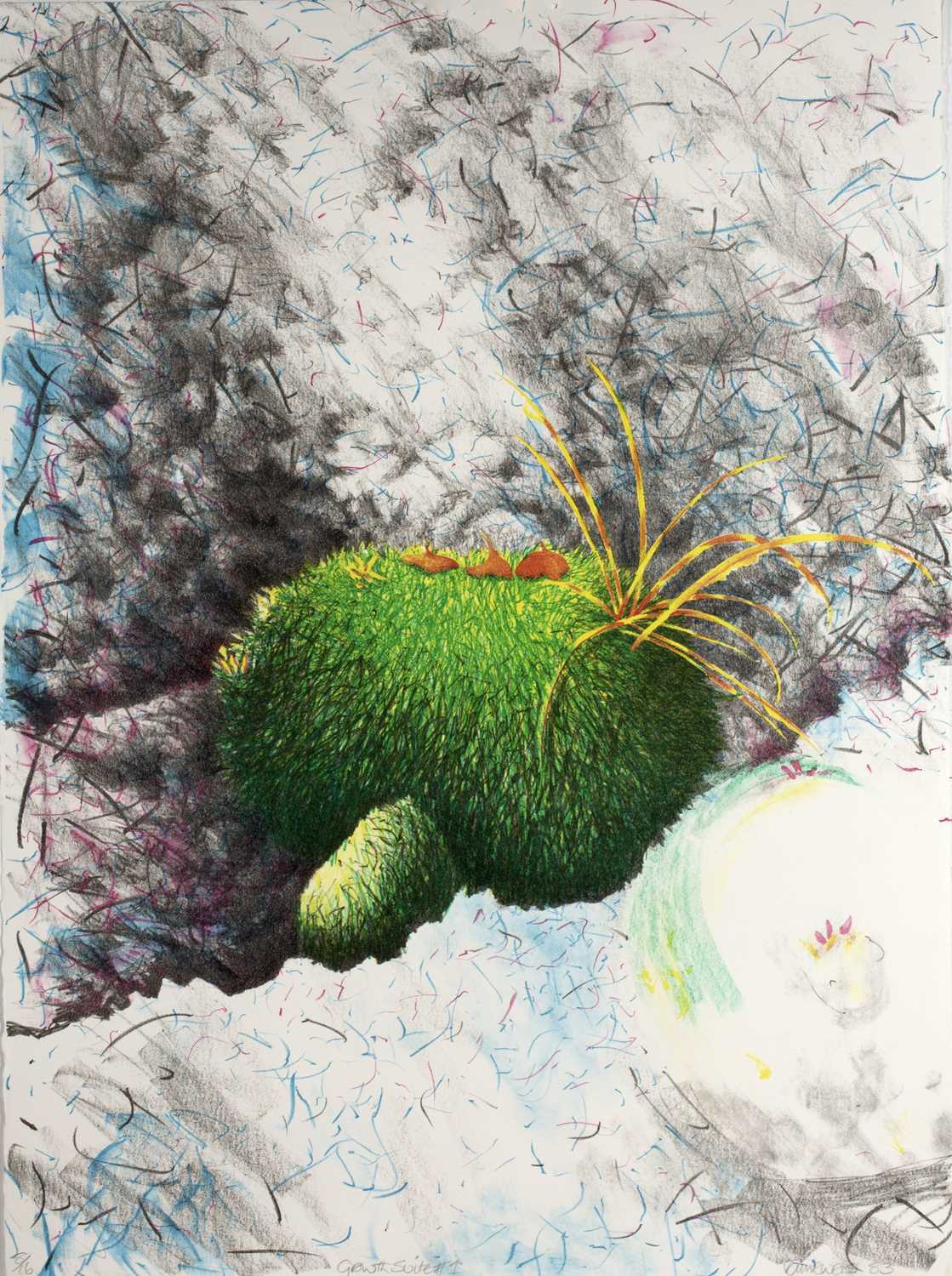 Lot 162 - Val Ewens (b.1946) 'Growth Suite 1' lithograph,...