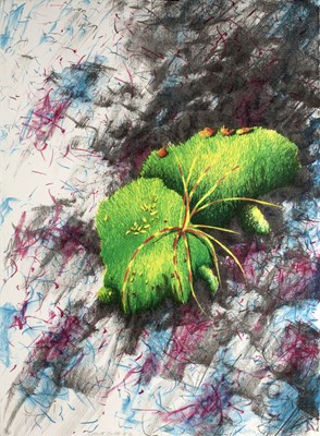 Lot 162 - Val Ewens (b.1946) 'Growth Suite 1' lithograph,...