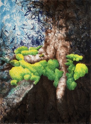 Lot 162 - Val Ewens (b.1946) 'Growth Suite 1' lithograph,...