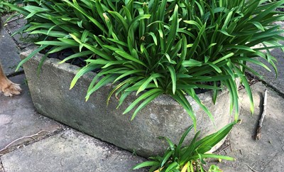 Lot 757 - A heavy carved stone trough with D shaped end,...