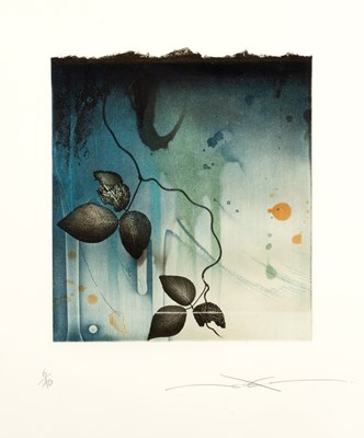 Lot 216 - Shinko Araki (b.1960) 'Untitled' etching and...