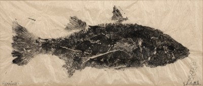 Lot 312 - Edith Miller (20th Century School) 'Gyotaku'...