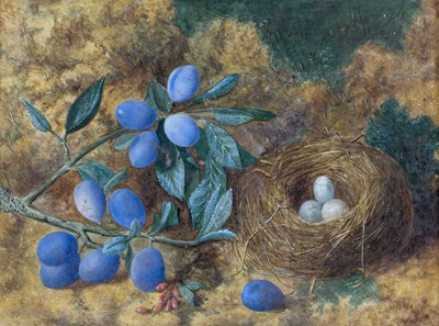 Lot 119 - E. Minot (19th/20th Century) Birds nest and...