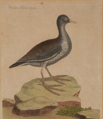 Lot 82 - Francoise Nicolas Martinet (1725/31-1804) A...