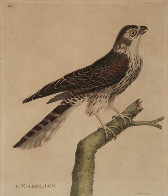 Lot 82 - Francoise Nicolas Martinet (1725/31-1804) A...