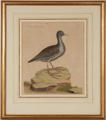 Lot 82 - Francoise Nicolas Martinet (1725/31-1804) A...