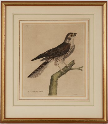 Lot 82 - Francoise Nicolas Martinet (1725/31-1804) A...