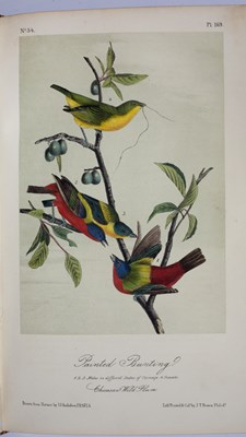 Lot 364 - Audubon (John James) The Birds of America from...