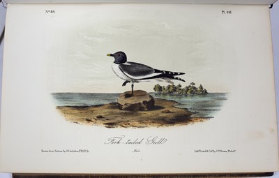 Lot 364 - Audubon (John James) The Birds of America from...