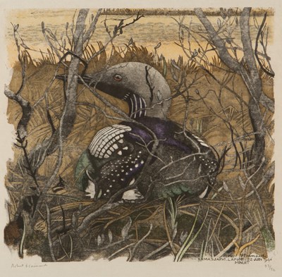 Lot 334 - Robert Hainard (1906-1999) Common loon,...