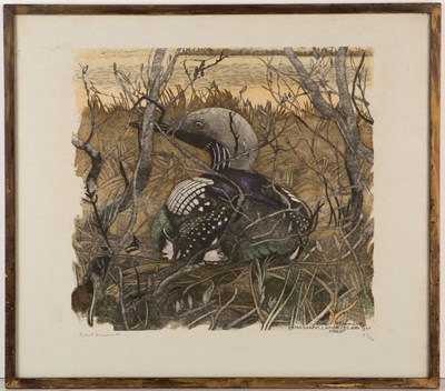 Lot 334 - Robert Hainard (1906-1999) Common loon,...