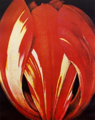 Lot 143 - Tim Maguire (b.1958) Tulip, 2003 signed and...