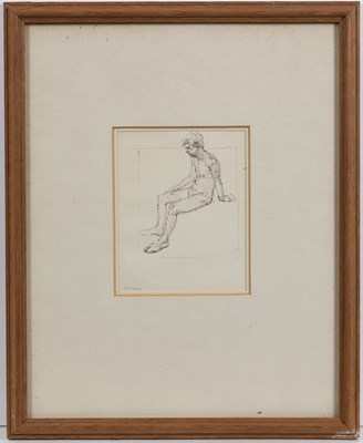 Lot 252 - John Newberry (b.1934) Female nude study,...