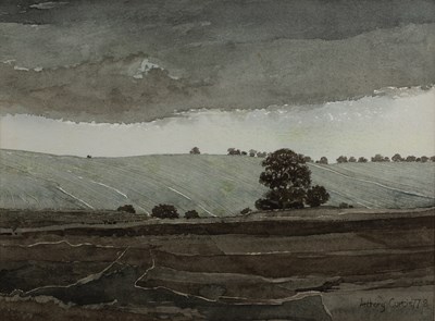 Lot 271 - Anthony Curtis (20th century) 'Fields', signed...