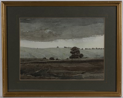 Lot 271 - Anthony Curtis (20th century) 'Fields', signed...