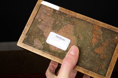 Lot 1 - A George III green stained tortoise shell tea...