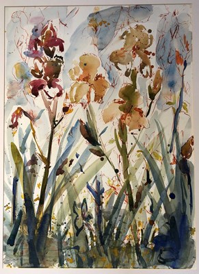 Lot 365 - A*** Black, a field of irises, pen, ink and...