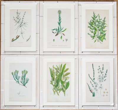 Lot 319 - A set of six decorative antique floral prints...