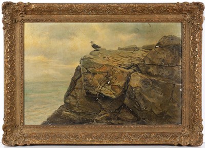 Lot 341 - George Edward Lodge (1860-1954) Black backed...