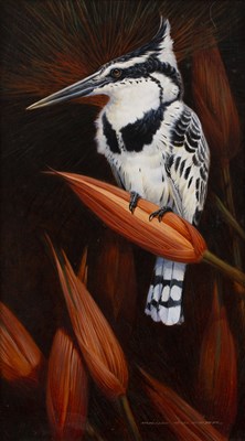 Lot 369 - David Orr Kerr (b.1951) 'Pied Kingfisher',...