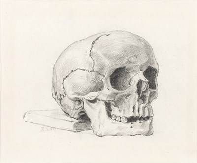 Lot 162 - 19th Century School 'Untitled skull' pencil on...