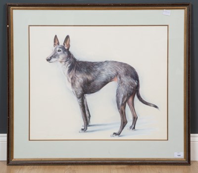 Lot 160 - Bellamy Evans, A lurcher, watercolour, signed...